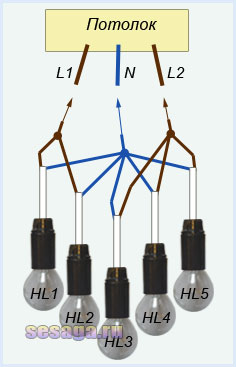 Решта три коричневих виведення ламп HL3, HL4 і HL5 також скручуємо між собою, вони будуть підключатися до стельової фазі L2